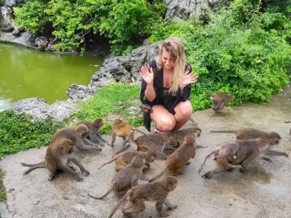 Tips for visitors when exploring Monkey Island